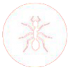 ants-icon