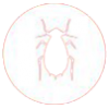 cockroach-icon