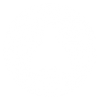 flies-icon